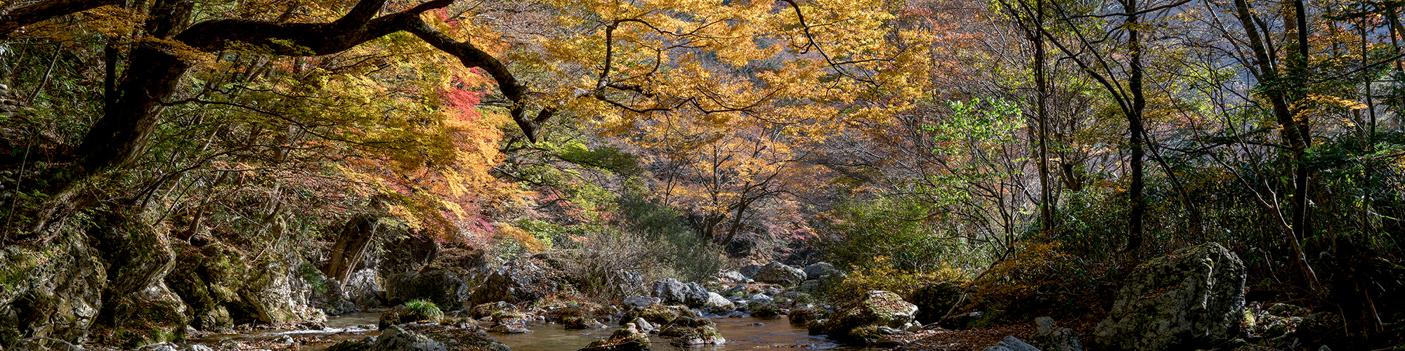 小田深山渓谷の紅葉